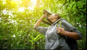 Best Binoculars for Bird Watching