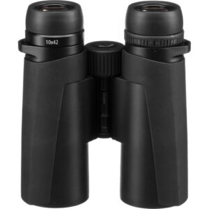 Best Binoculars for Bird Watching in the Garden