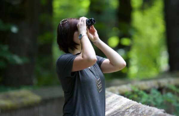 Best 10x42 Binoculars for Bird Watching