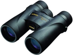 Best Nikon Binoculars for Bird Watching