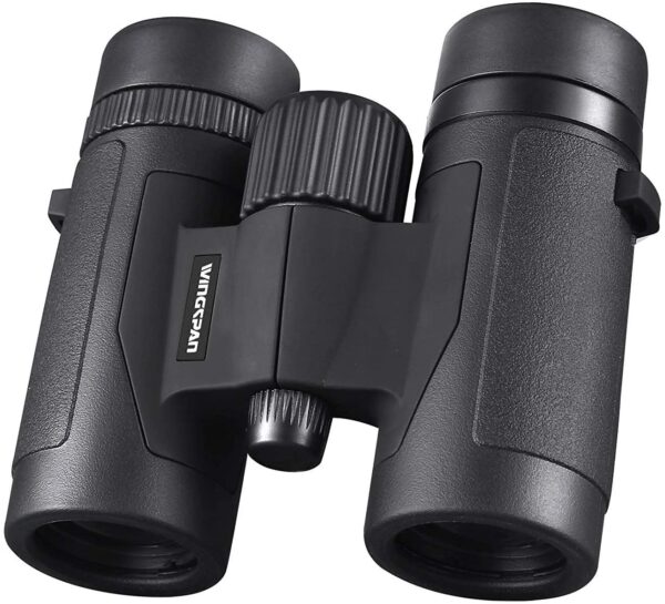 7 Best Budget Binoculars for Bird Watching BinocularsRadar