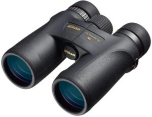Best Binoculars for Bird Watching with Glasses