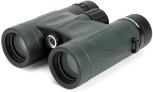 Best Lightweight Binoculars for Bird Watching