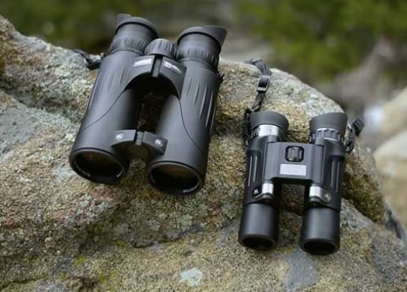 What Should I Look for When Buying Binoculars?