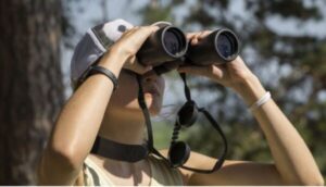 Best Lightweight Binoculars for Bird Watching