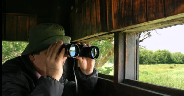Best Binoculars for Bird Watching in the Garden