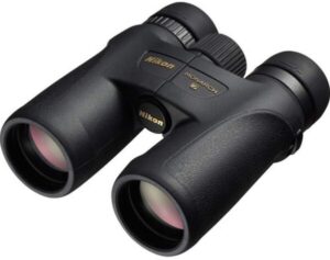 Best Nikon Binoculars for Bird Watching