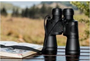 What is the Best Size Binoculars for Hunting?