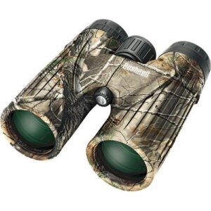 Best Binoculars for Varmint Hunting