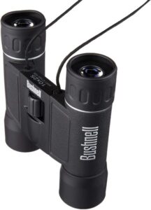 Best 10x32 Binoculars for the Money