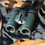 Best 10x32 Binoculars for the Money