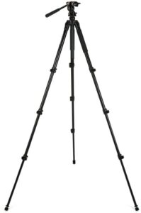 Celestron