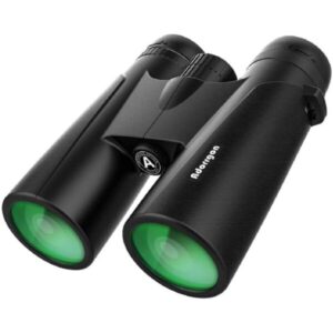 Best Binoculars for Bow Hunting