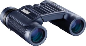 Best Compact Binoculars for Safari