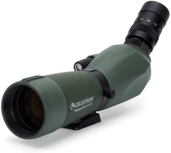 7 Best Spotting Scope for Wildlife Viewing