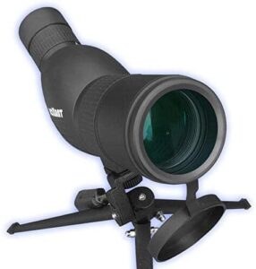 Best Budget Spotting Scope for Bird Watching