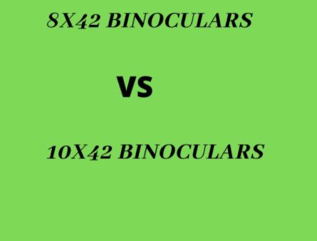 Which is Better 8x42 or 10x42 Binoculars?