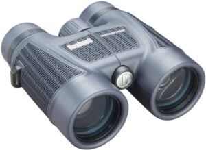 Best Binoculars for Western Hunting