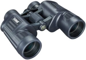 Best Binoculars for Ocean Viewing