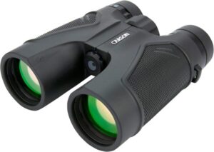 Best Binoculars for Turkey Hunting