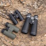 Best Binoculars for Turkey Hunting