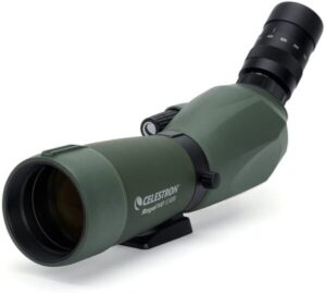 Best Angled Spotting Scopes