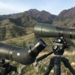 Angled Vs Straight Spotting Scope: Which to Choose?