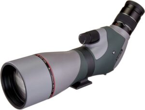 Best Angled Spotting Scopes