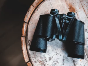 Best Hunting Binoculars Under $500