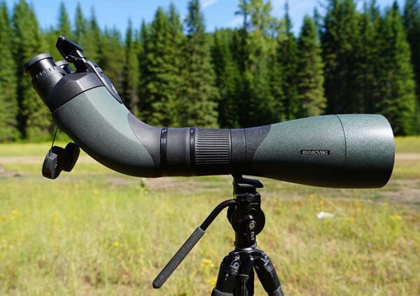 Best Budget Spotting Scopes for Hunting