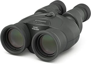 best image stabilized binoculars for birding