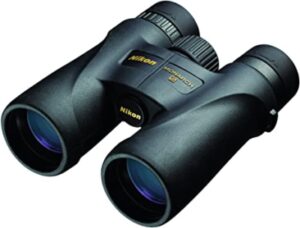 Best Binoculars for Hunting