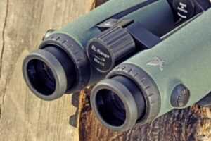 7 Best Binoculars for Coyote Hunting