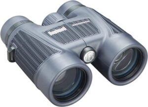 best binoculars for duck hunting