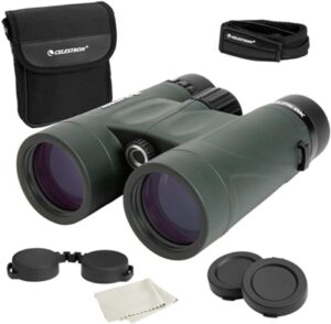 best binoculars for safari