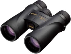 best binoculars for safari