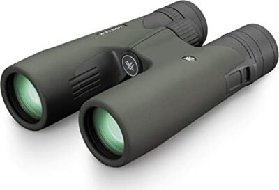 visionking 10x42 binoculars review