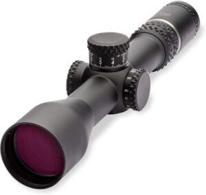 Best DMR Scopes