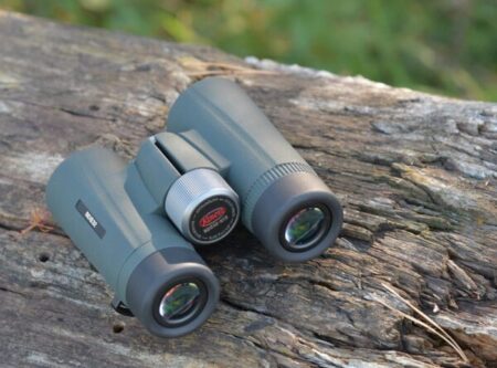 Best 10x50 Binoculars