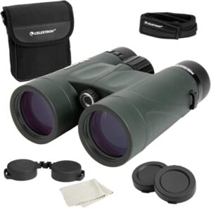 Best Celestron Binoculars