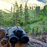 Best Binoculars for Long Range Hunting