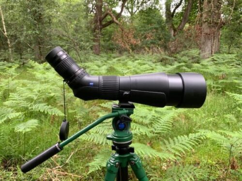 best spotting scope for Digiscoping