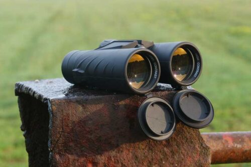 best binoculars for hunting in the woods