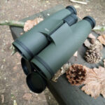 best binoculars for whitetail hunting