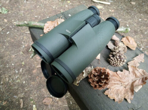 best binoculars for whitetail hunting