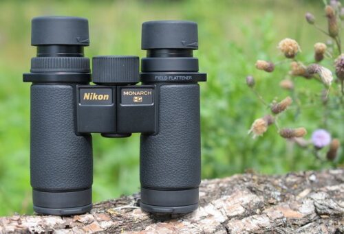 best binoculars for Yellowstone
