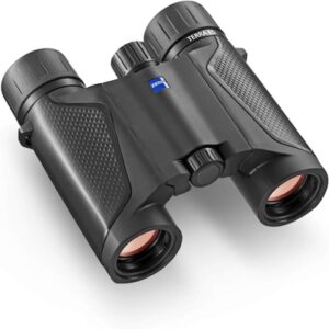 Best Compact Binoculars for Birding