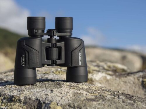 Best Bird Watching Binoculars under $500