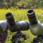 how to choose a spotting scope for birding