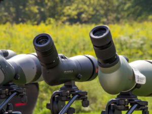 how to choose a spotting scope for birding